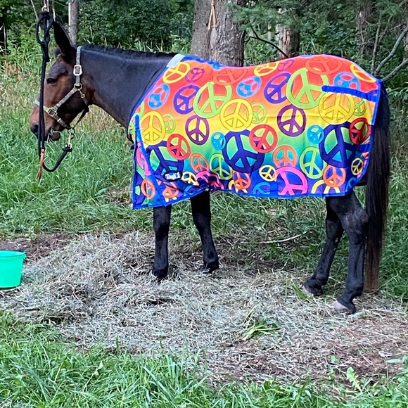 Meet your Posher, Cindy - Picture 2 of 4